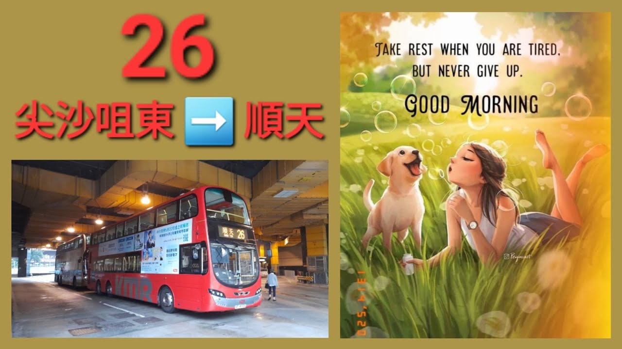九巴 KMB AVBWU756 VF4950 @ 26 尖沙咀東 Tsim Sha Tsui East 》順天 Shun Tin 富豪 B9TL
