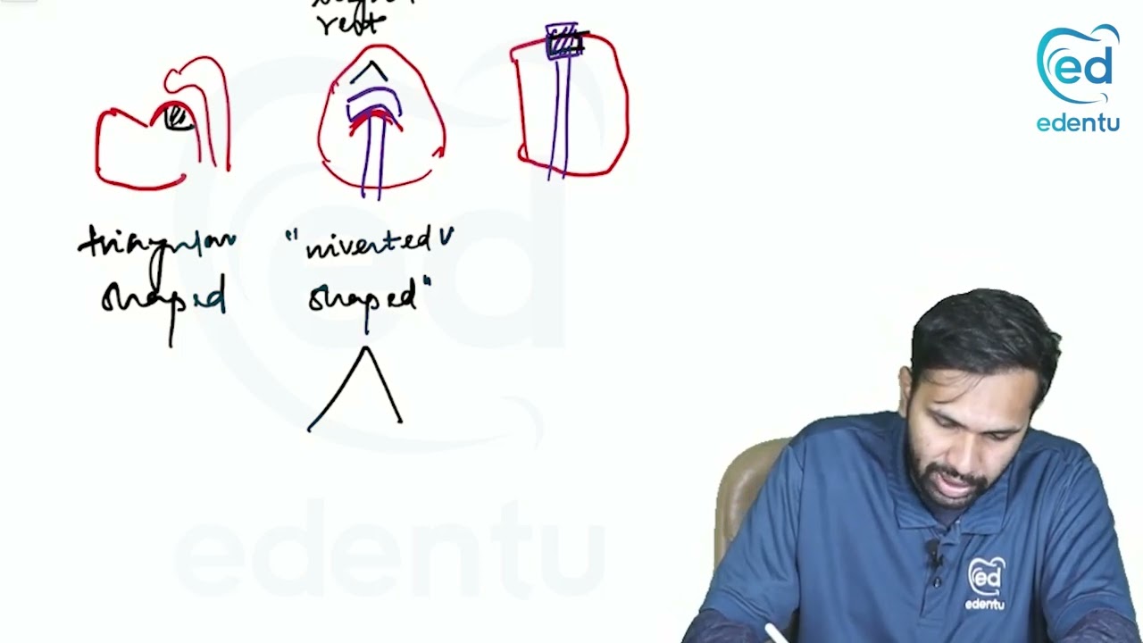 Rest & Rest Seat | Prosthodontics Neet MDS | Edentu Learning App @Edentu.official