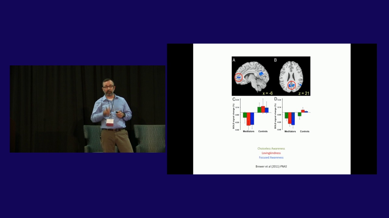 Frederick Barrett: Responses to Psilocybin During Meditation and Music Listening