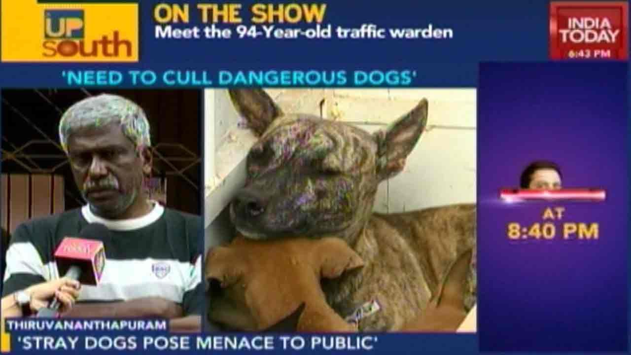 Up South: Stray Dogs Pose Menace To Public In Kerala
