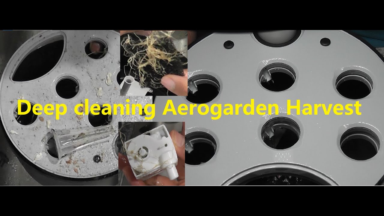 Глубокая очистка Aerogarden Harvest