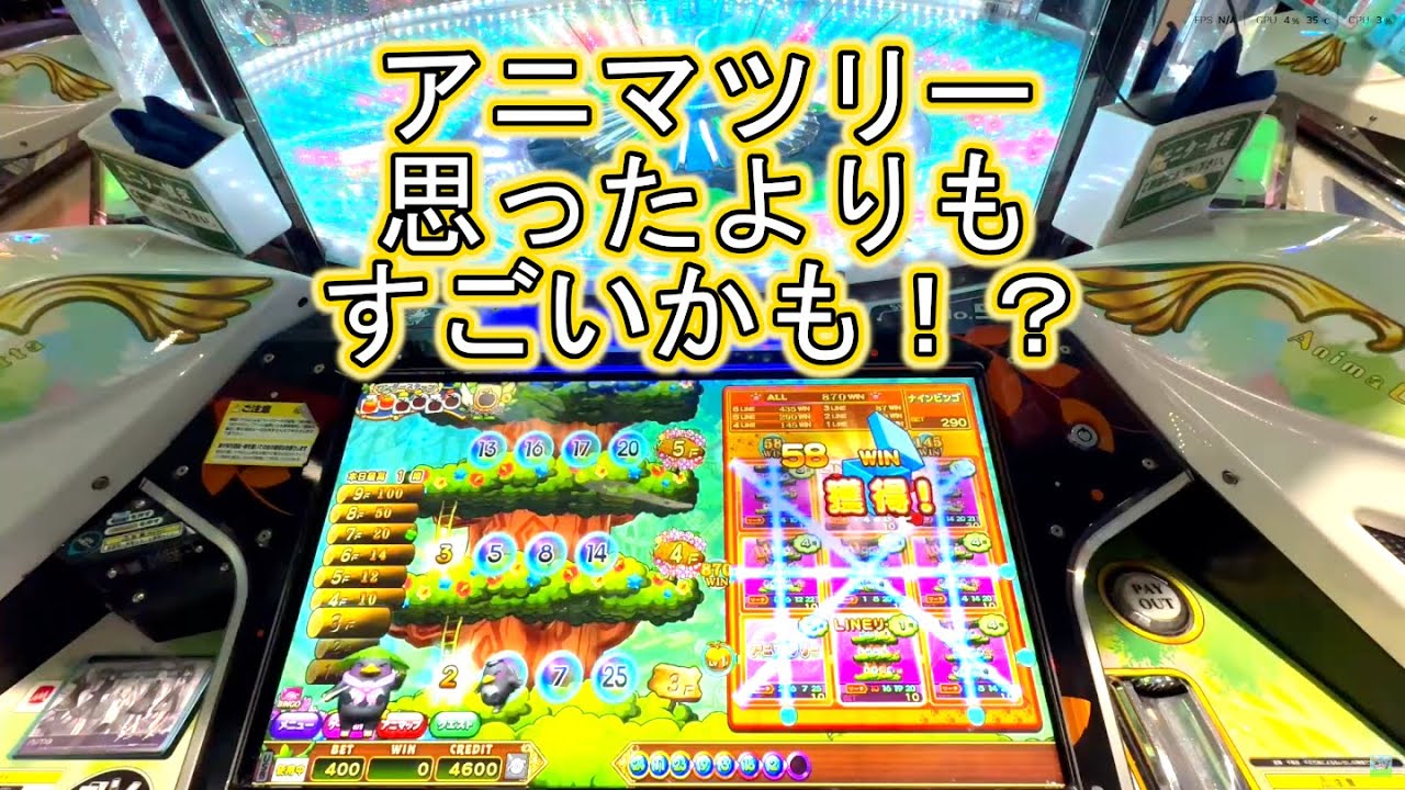 こねこのメダルゲーム日記No.1058 アニマロッタ勇者アニマと竜の秘宝 もう一度アニマツリー9面プレーにゃ！