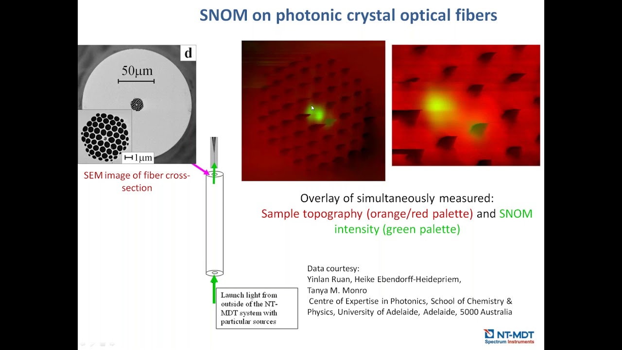 Scanning Near-Field Optical Microscopy: Relevant Insights and Trends