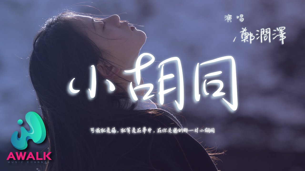 郑润泽 - 小胡同『可我就是痛，就算是在梦中，在你走过的那一片小胡同。』【动态歌词 | Pinyin Lyrics】【三月新歌】【AWALK MUSIC】