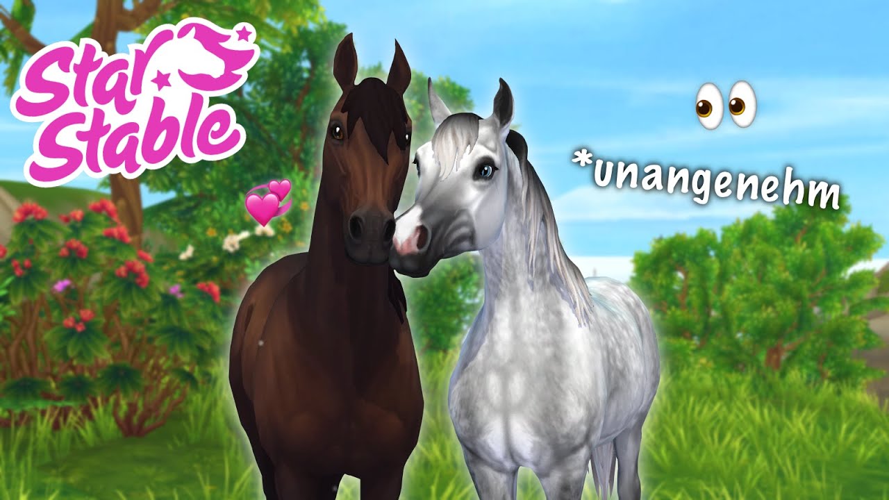 [SSO] Ich habe random bei einem WH-Spiel mitgemacht...||Jana ❤️