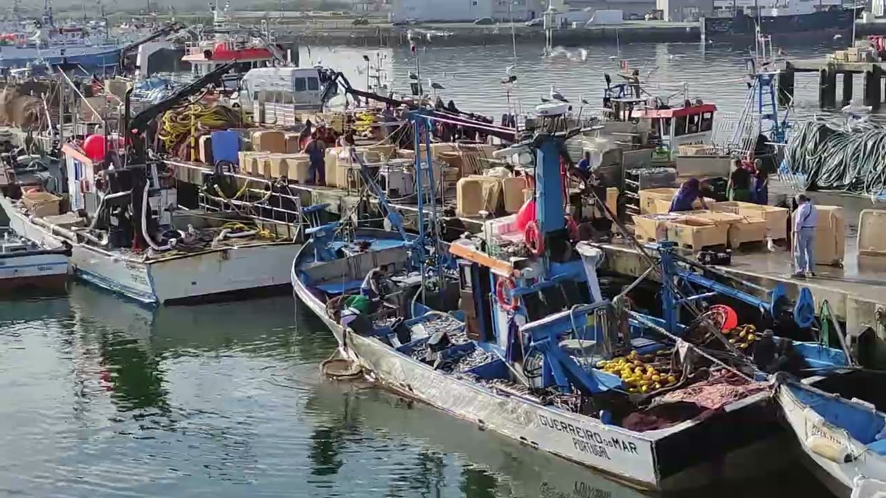 Barcos, Homens e Cais 4