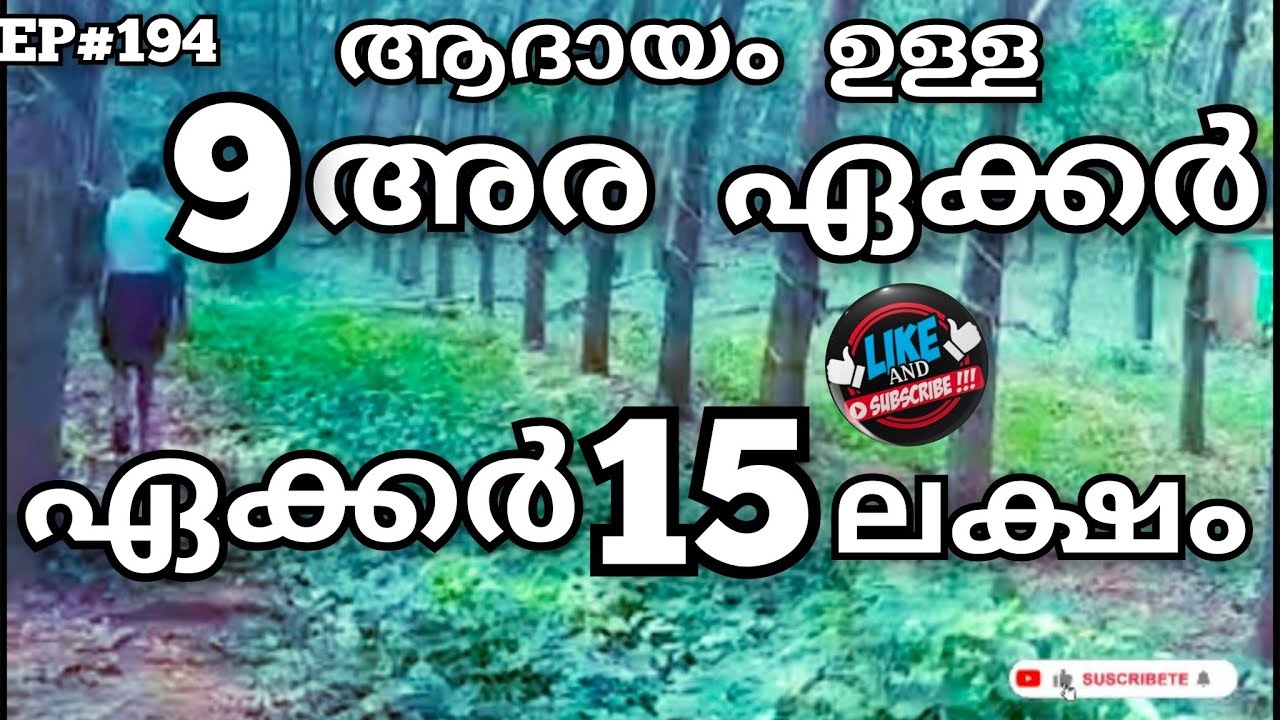 1ഏക്കറിന് 15 ലക്ഷം 9 അര ഏക്കർ തോട്ടം കറന്റ്‌, വെള്ളം,വീട് ഫാമിന് പറ്റിയ സ്ഥലം നല്ല സൗകര്യം👌