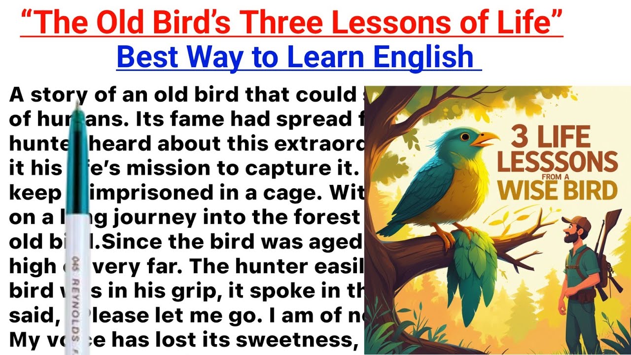 Old Bird's 3 Lessons of Life||English Reading||English Story || English padhna kaise sikhe?