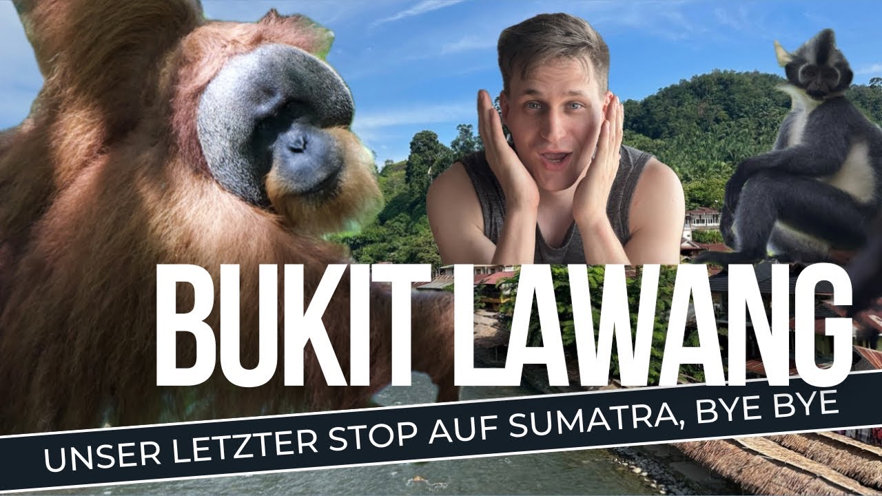 Sumatra, Indonesien - Bukit Lawang, auf der Suche nach Orang-Utans im Dschungel, Vlog