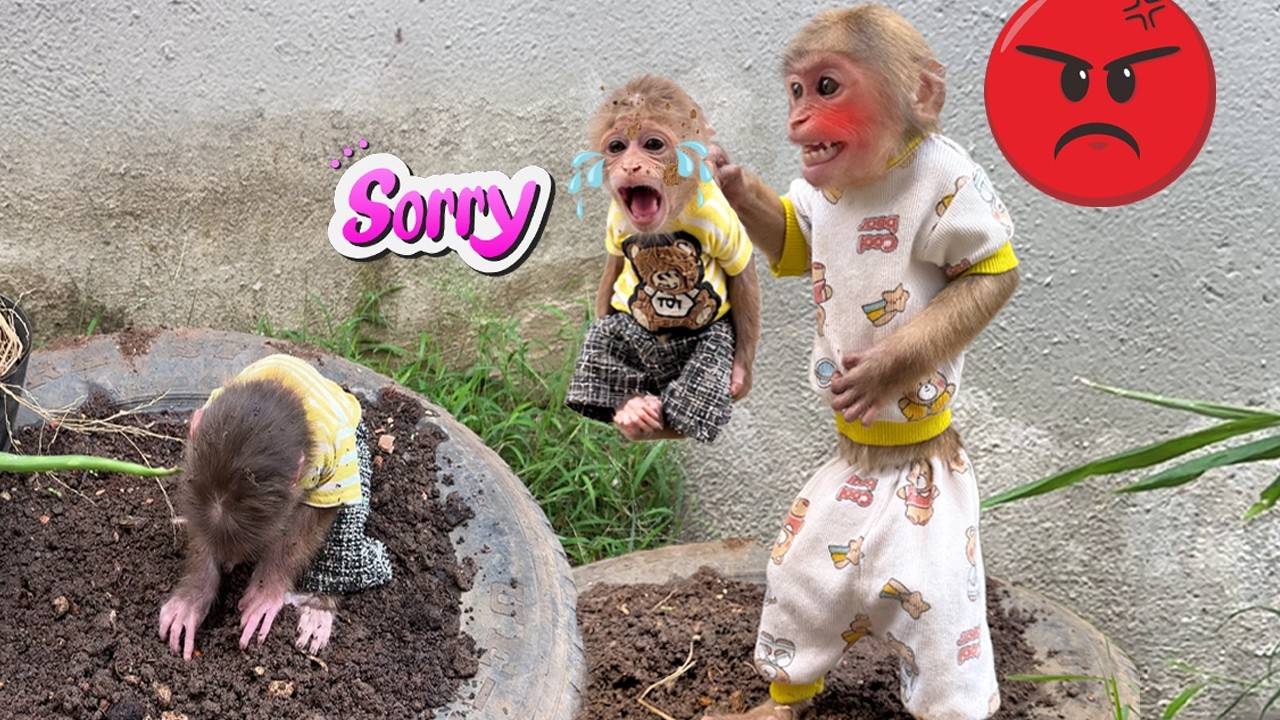 Lucky loses his temper because Sunny went outside and got dirty!
