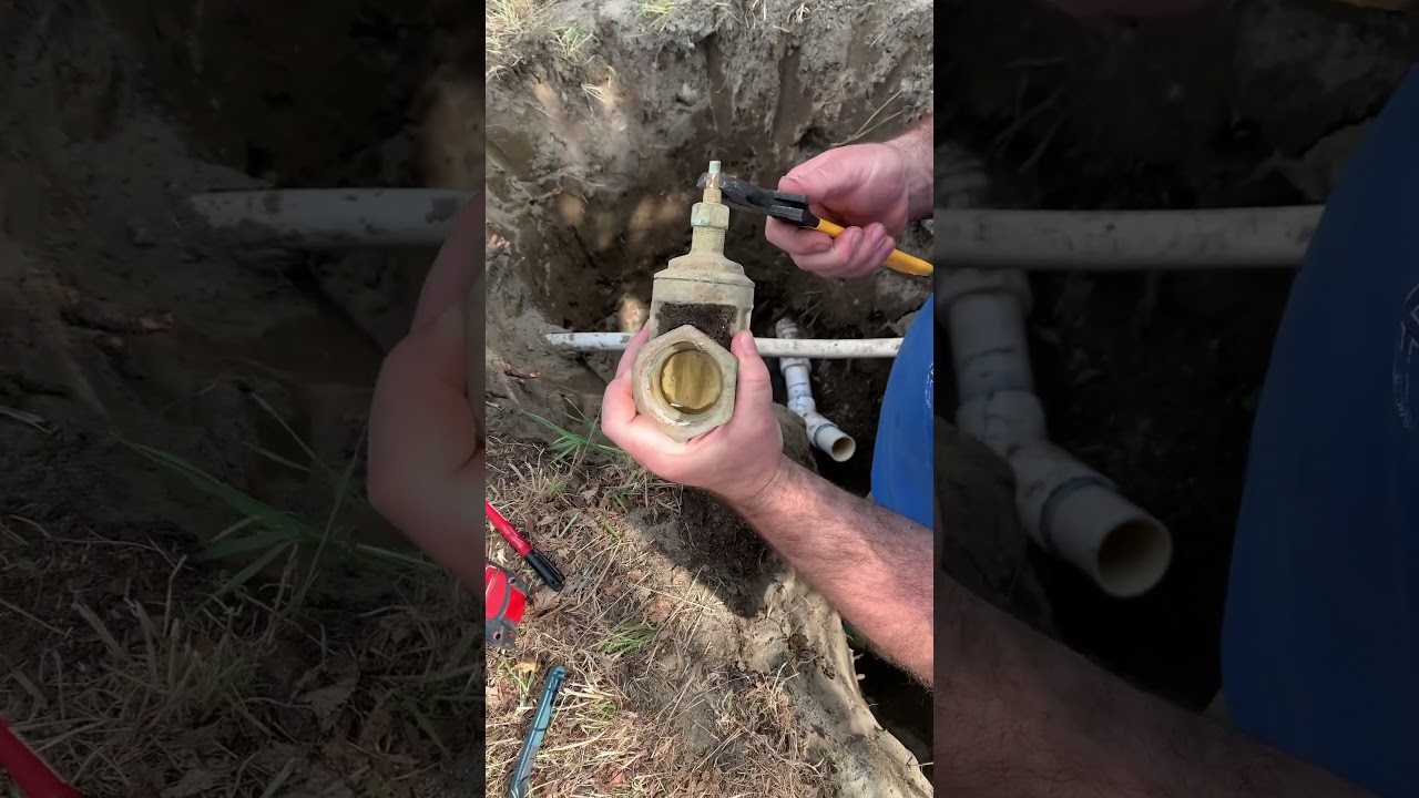 Gate Valve #shorts #valve #irrigation #repair #fix #lawn #home #dig