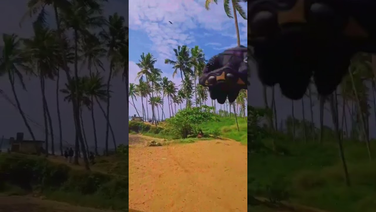 D17| Kovalam Road | Solo