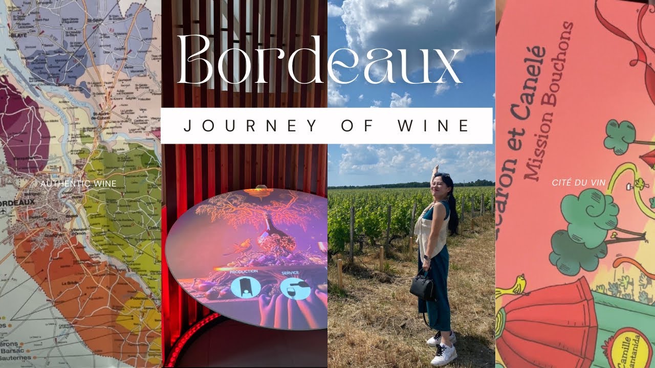 【🇫🇷ワインの街🇫🇷】ボルドー１泊2日ワイン尽くし旅🍷飲んで、見て、体験して💖✈️/ Bordeaux  ✈︎BOD✈︎ the town of wine