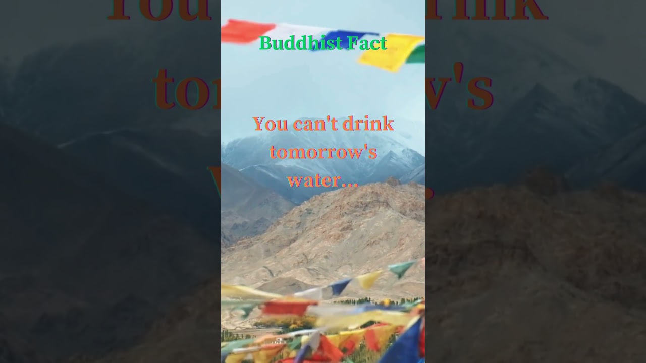 #Buddhistfacts #buddhistculture #buddhistschool #buddhistheritage #buddhistradition #tibetanbuddhism