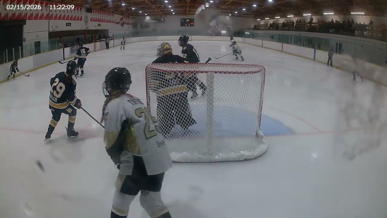 Playoff game 1 U15B Ian vs Flamborough Falcons #2353 Feb 15 26 Net cam 1