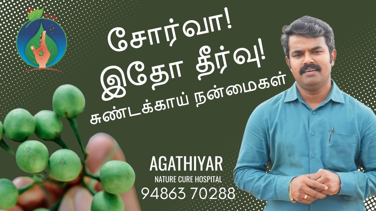 Amazing Health Benefits of Turkey Berry | Sundakkai Uses Explained by Dr. Rajendhiran