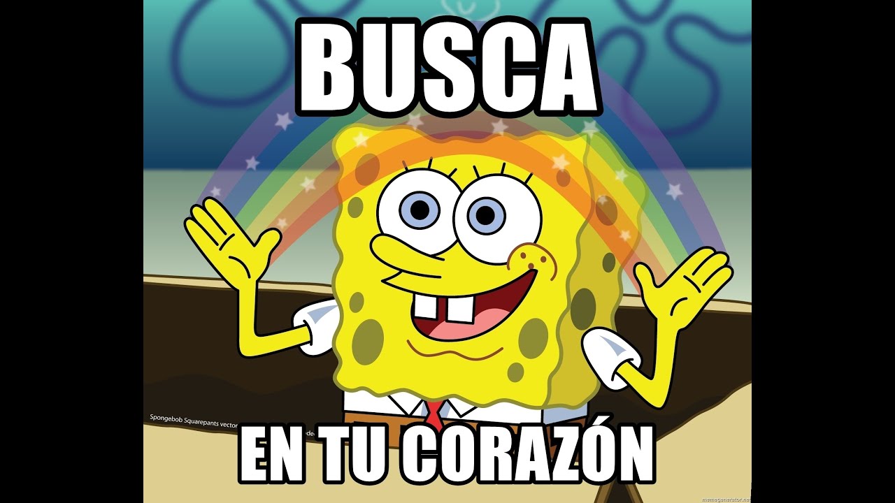 Circulación y características del sistema circulatorio