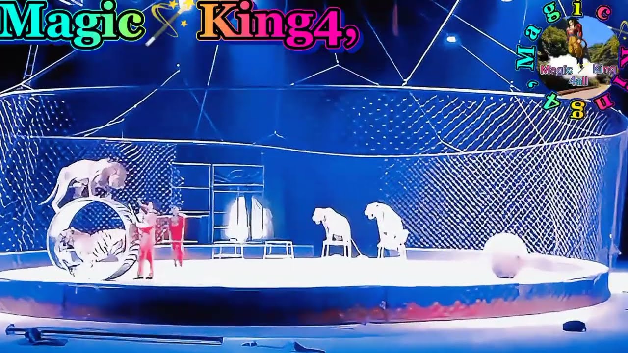 Amazing Animal Magic Show on Stage – You Won’t Believe This,,!#illusion#magic#magicshow#gottalent