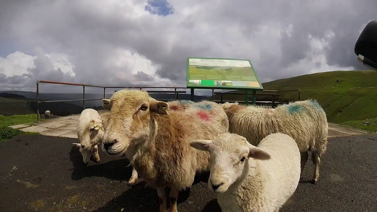 Bwlch Mountain - Baah