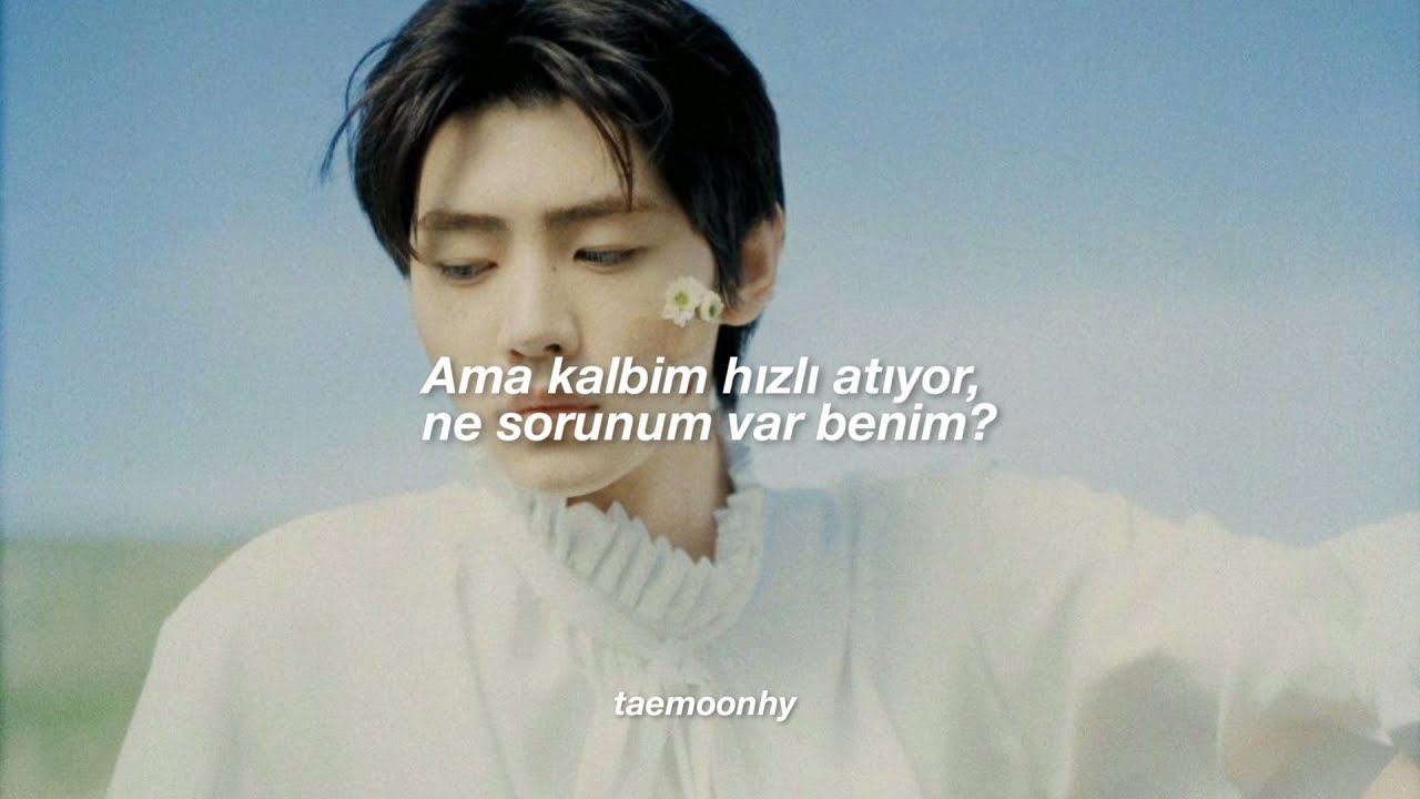 ENHYPEN - Polaroid Love (Türkçe Çeviri)