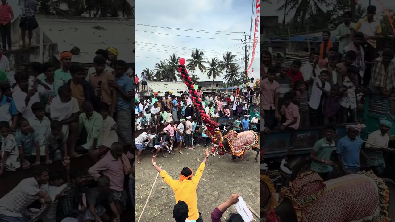 Diwali in Haveri Be Like 🔥 | Haveri Habba 2025 Highlights!