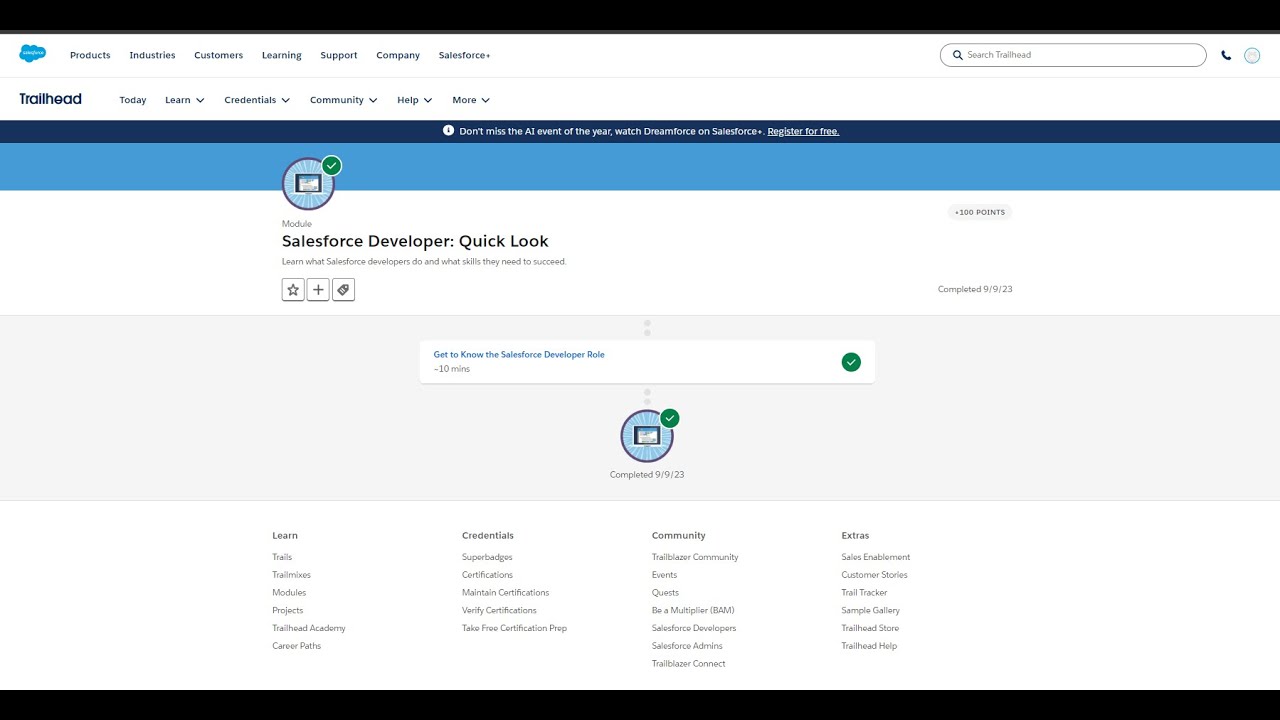 Salesforce developer Quick Look