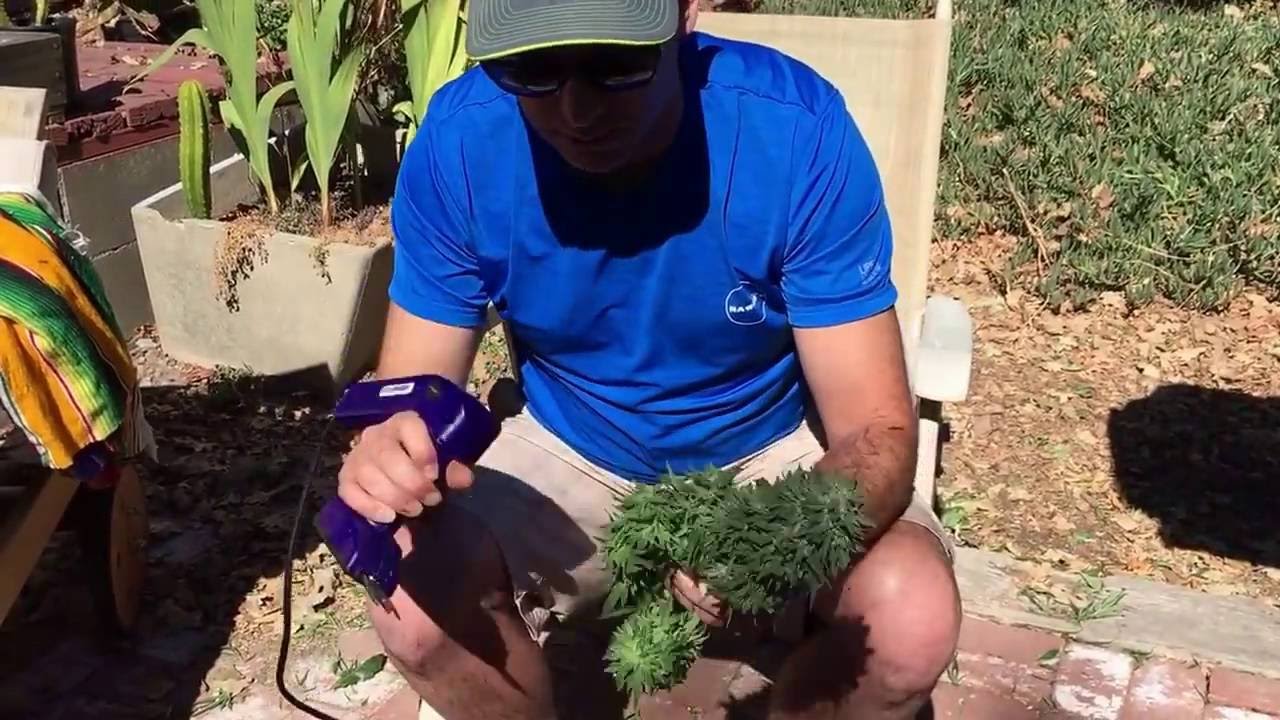 Trim Daddy Demo