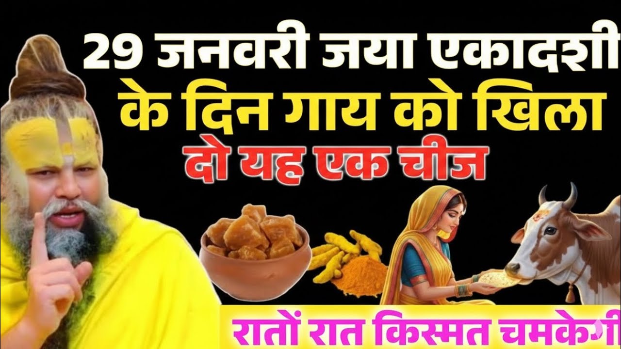 29 जनवरी जया एकादशी के दिन गाय को चुपचाप खिला दो यह चीज ! किस्मत पलट जाएगी | Premanand Ji Maharaj 