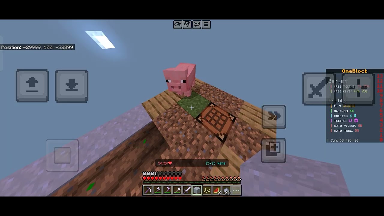 (Vidio YT Pertama) Minecraft One Block Survival