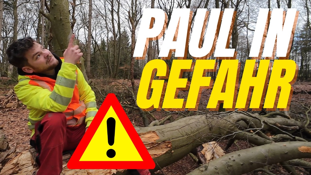 Paul wegen Zunderschwamm in Lebensgefahr!