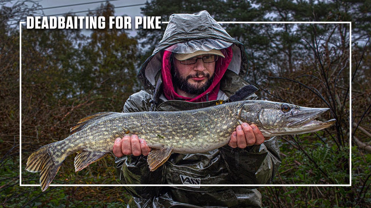 PIKE FISHING WITH DEADBAITS - Hugh's BIGGEST pike EVER!