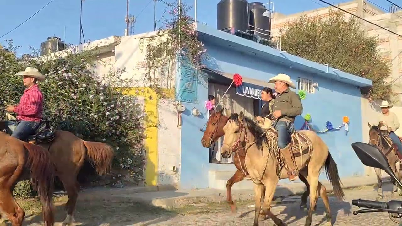 Feria paso de mata 2026