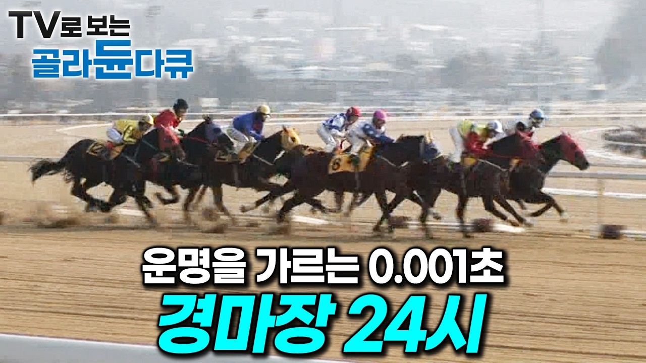 예측할 수 없는 짜릿한 승부의 세계. 인생을 건 70초 레이스, 경마장 24시｜경마 기수｜마필관리사｜극한직업｜#골라듄다큐