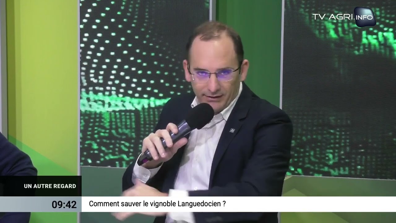 Comment sauver le vignoble Languedocien?