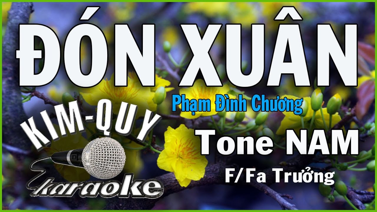ĐÓN XUÂN - KARAOKE ( Cha Cha Cha ) - Tone NAM ( F/Fa Trưởng )