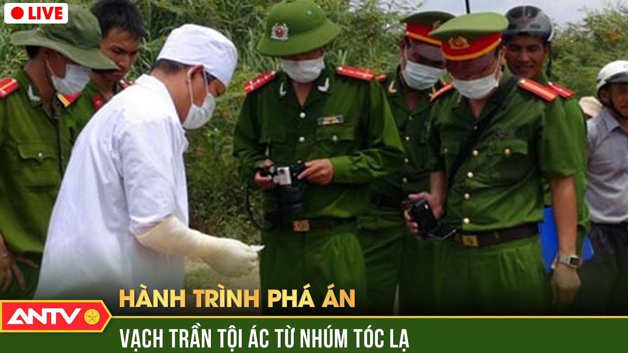 Hành trình phá án hay nhất ngày 2/1/2024 | ANTV