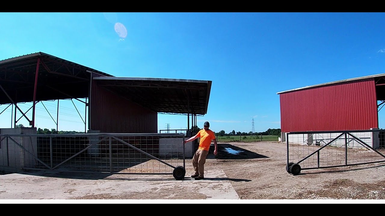 Custom Made Cattle Gates That Connect Two Monoslope Barns. Plus Sorting and Loading Cows