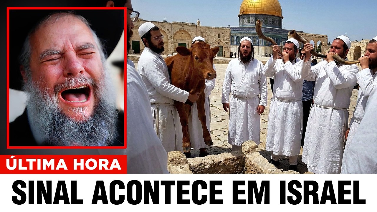 MAIS UMA PROFECIA ACABA DE SE CUMPRIR EM ISRAEL!