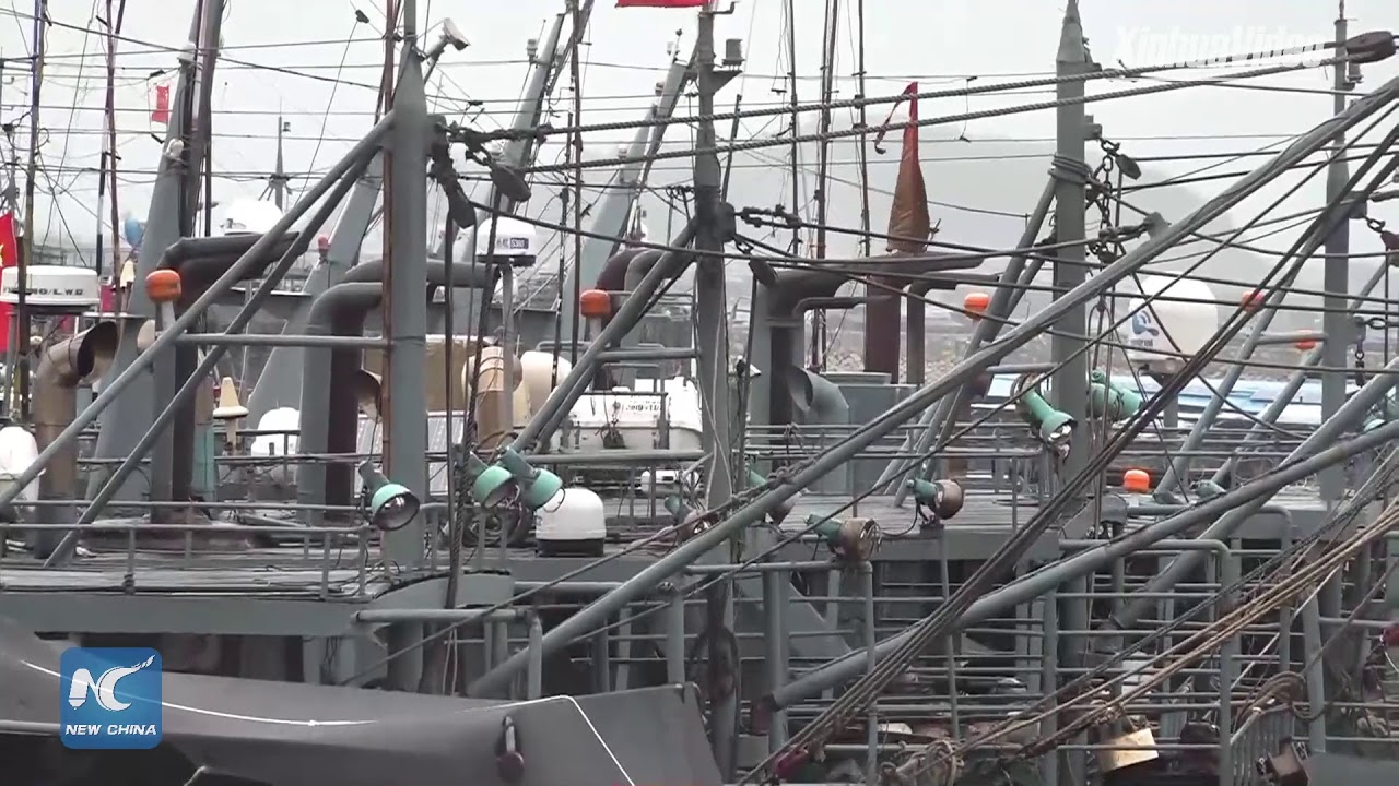 LIVE: Typhoon Bailu lands in coastal town of Fujian, China