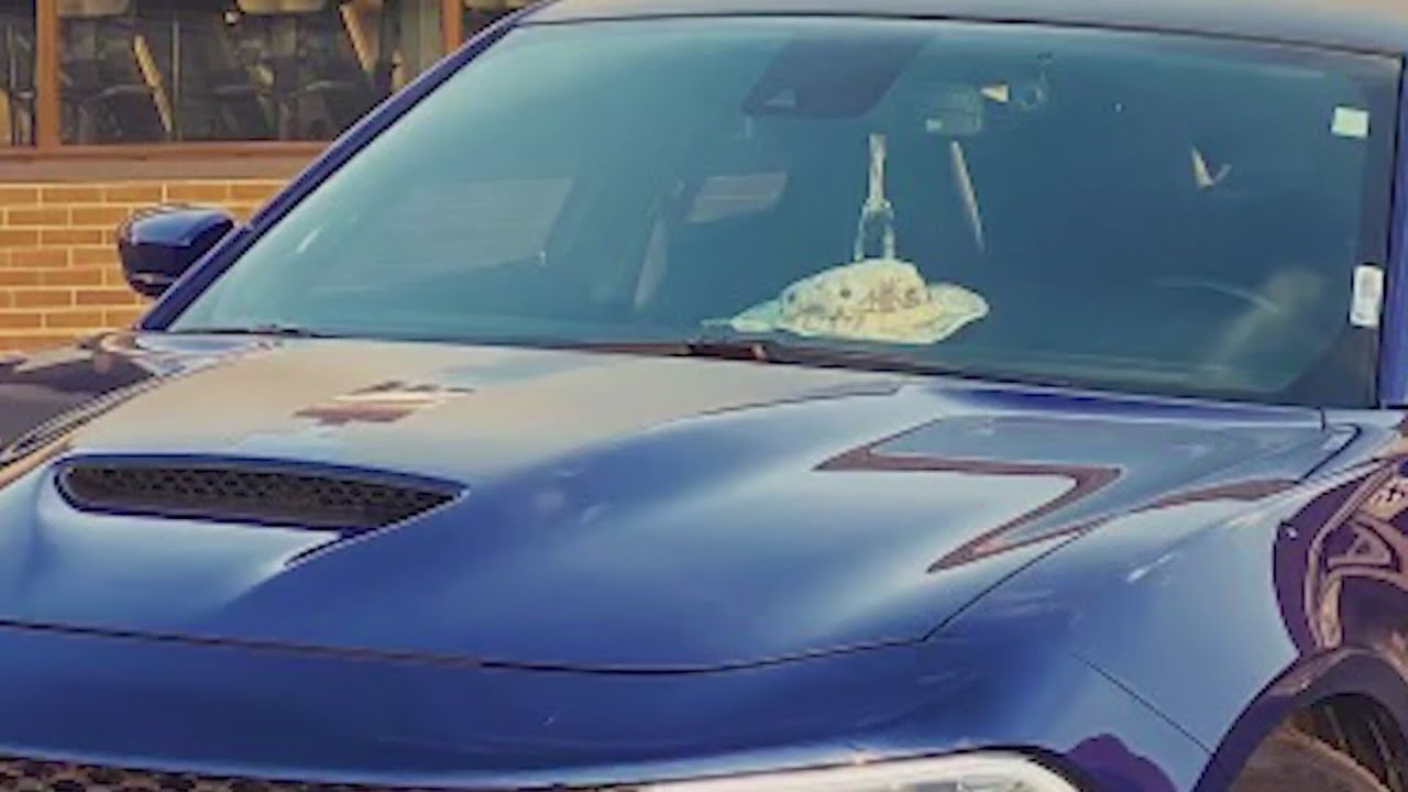 Car theft victims says item inside was more valuable than vehicle