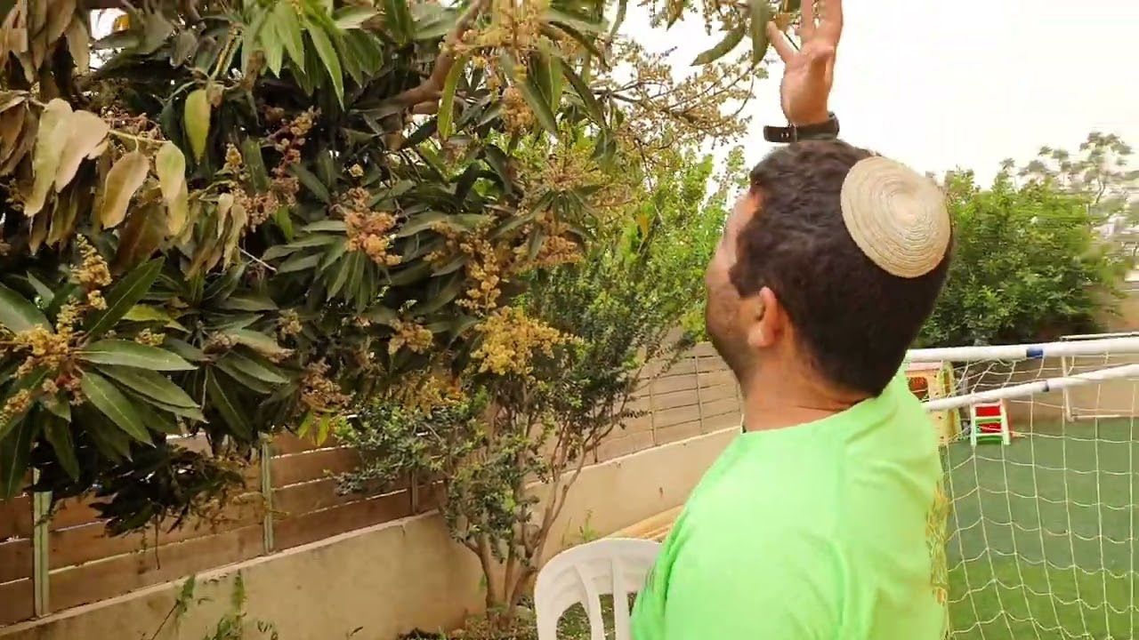 ממשיכים ללוות אתכם עד שתאכלו מנגו הקיץ! אסור לפספס
