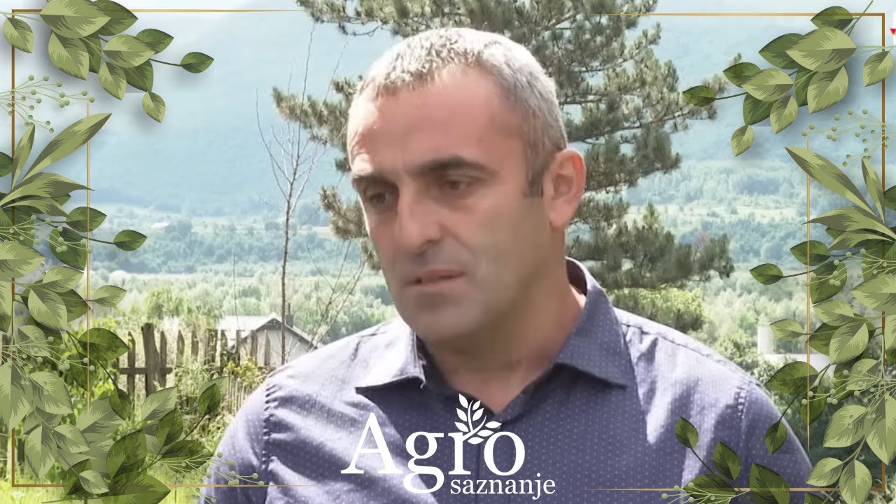 AGROSAZNANJE - Nevrijeme uništilo poljoprivredu u Gornjem polju