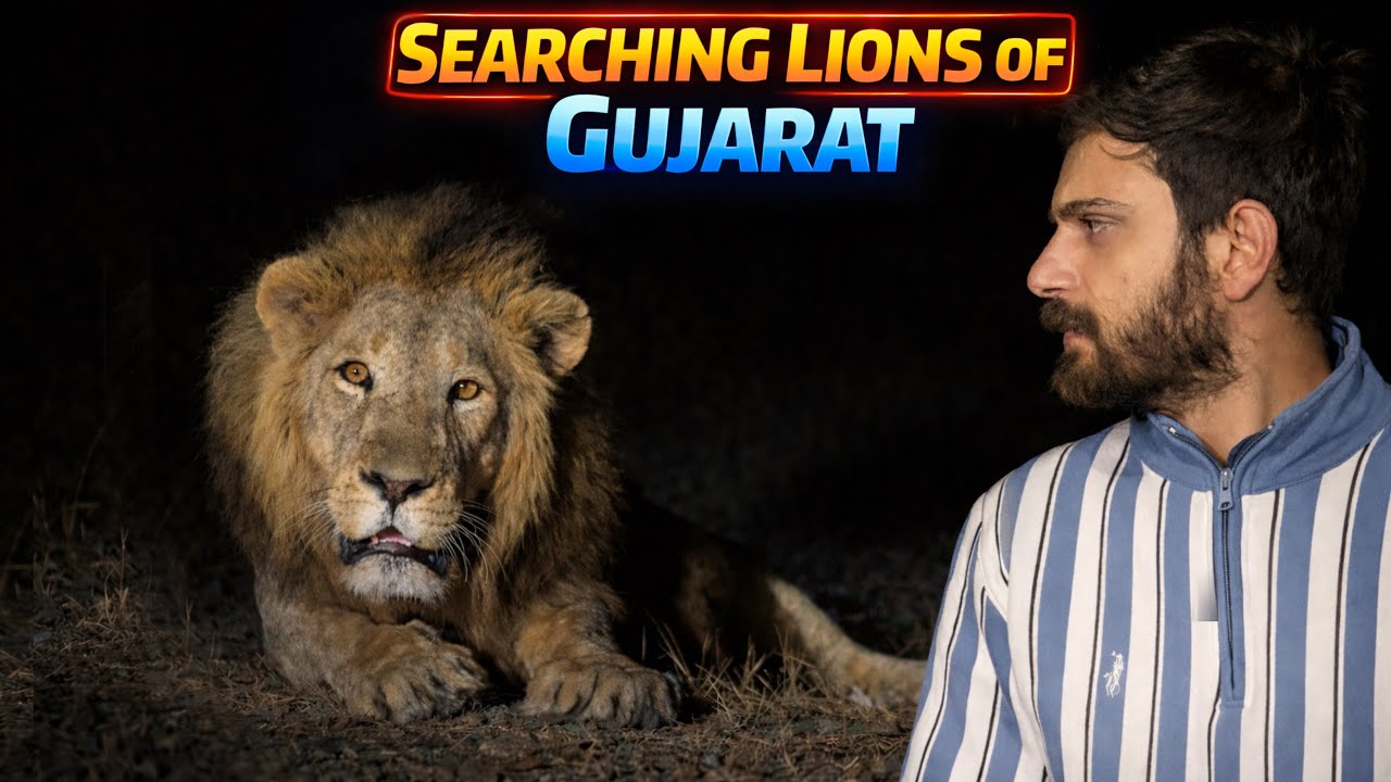 Chasing the Last Asiatic Lion 🦁 | Delhi to Sasan Gir , Gujrat Wildlife Adventure | Ep 01 