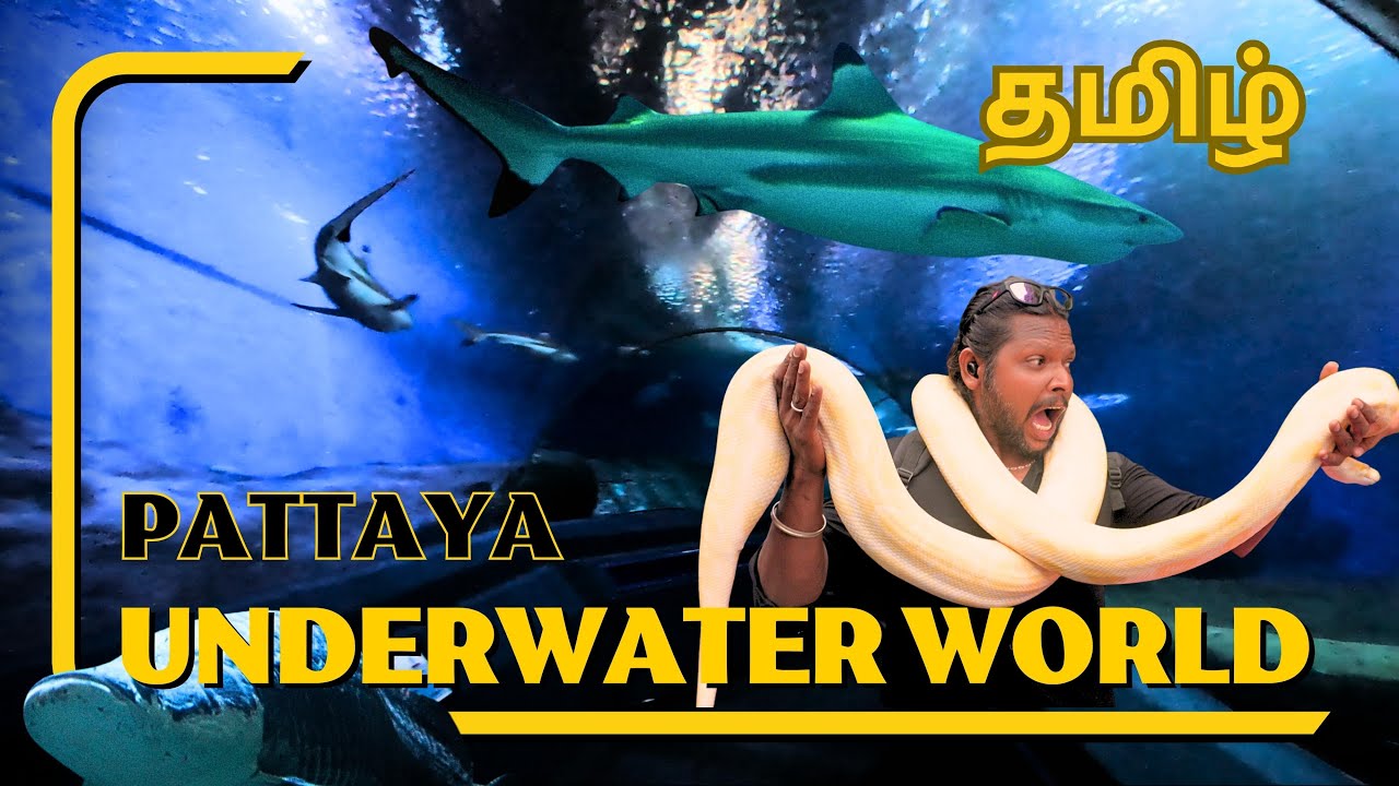 UNDERWATER WORLD PATTAYA IN TAMIL | IS IT WORTH VISITING? | THAILAND 2023