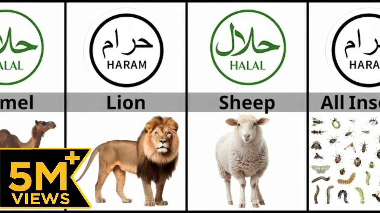 Halal and Haram Animal Meat in Islam