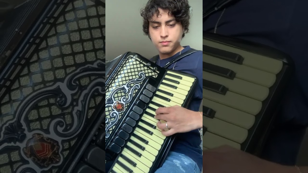 Styl&atilde;o ( banda stylus)