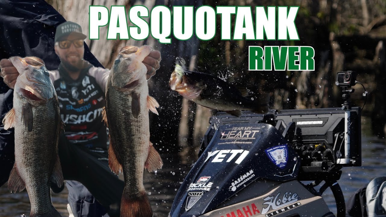 THE Bassman Spinnerbait day we all need! ( Pasquotank River 2025)