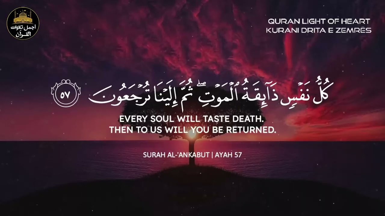 ساعة كاملة🕛تلاوة قرأنية خاشعة😌تقشعر لها الأبدان🥺راحة للقلب❤️بصوت❤️عبد الرحمن مسعد