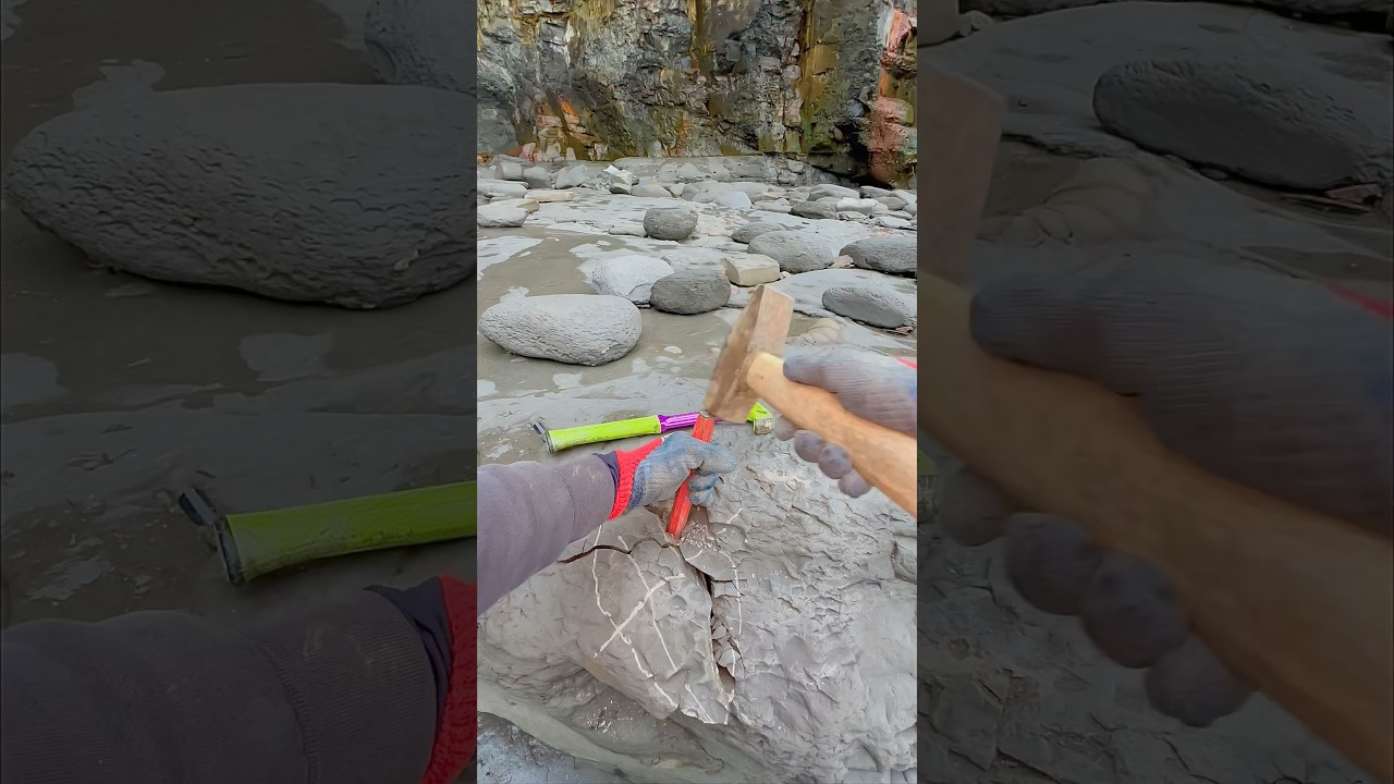 “X” Marks The Spot 😎⚒️ Searching through limestone and shale on a remote beach for fossils
