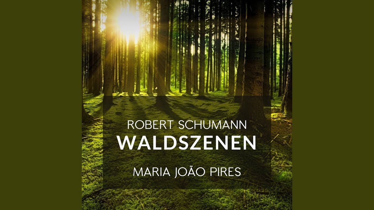 Waldszenen, Op. 82: VII. Vogel als Prophet